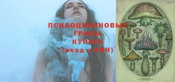 дурь Пересвет