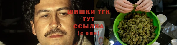 дурь Пересвет