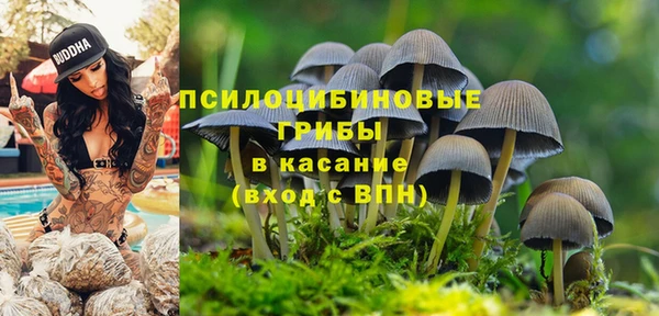 прущие крисы Пестово