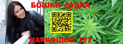 спиды Дубна