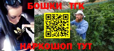 спиды Дубна