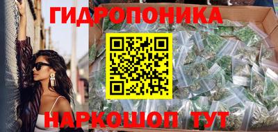 спиды Дубна