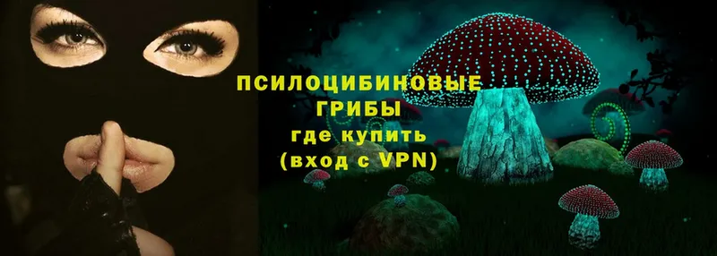 Псилоцибиновые грибы Psilocybe  Сафоново 